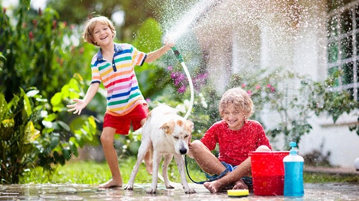 two kids washing a dog 